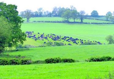 400 ha en un seul bloc, avec des pâtures de 7 ha et des chemins d’accès en travers en béton.