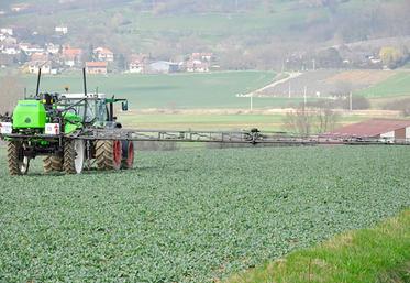 Le fractionnement permet d'ajuster au mieux les apports d'azote.