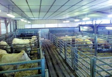 Le centre d’allaitement bovin de la Chaussée-Tirancourt (80).