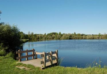 La réserve naturelle de l'étang Saint-Ladre est la première étape de la visite du Premier ministre dans la Somme.