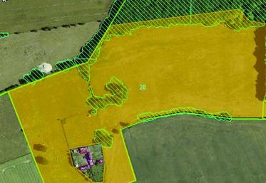Cette photo couplée à la couche végétation (l'ensemble des éléments naturels présents) des cartes IGN met en évidence des surfaces non agricoles déclarées éligibles aux aides.