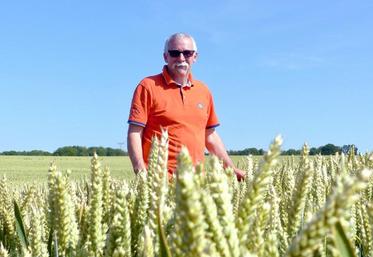 Après la récolte de son blé, Didier Carette compte désormais semer ses couverts en direct, grâce à l’achat d’un semoir à dents en Cuma.