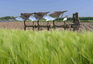 Les projets de grandes cultures biologiques auront un caractère prioritaire.