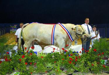 Gérald Leborgne, éleveur de charolaises à Vironchaux : 
«J’ai plaisir à concourir avec mes meilleurs animaux».