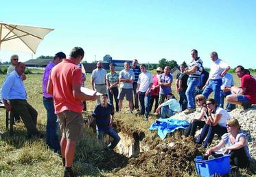 A la découverte de l'activité biologique du sol.