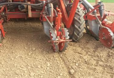 Il faut semer lentement. Une trop grande vitesse entraîne une profondeur de semis irrégulière et des irrégularités d’espacement entre les graines.