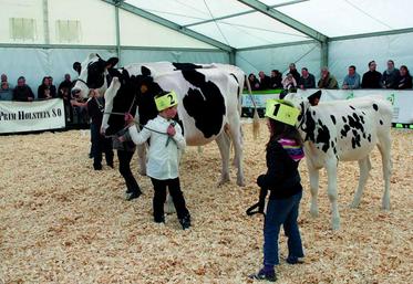 Relève assurée avec le concours junior qui aura lieu à 14 h.