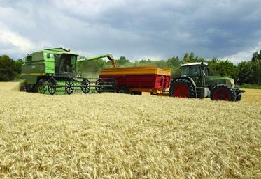 La variété Etincel est la référence confirmée en escourgeon brassicole.