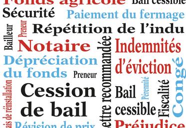 Le bail cessible est un moyen de transmettre l’entreprise agricole avec plus de facilités que le bail classique, notamment quand il s’agit de personnes hors cadre familial, il permet de donner une valeur à l’exploitation. 