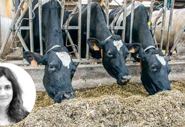 Cécile Riffard : «Les structures qui construisent des indicateurs de coûts de production ne travaillent pas de la même  manière. Cela peut concerner la rémunération de l’exploitant, ou la prise en compte de l’alimentation pour les animaux.»  
