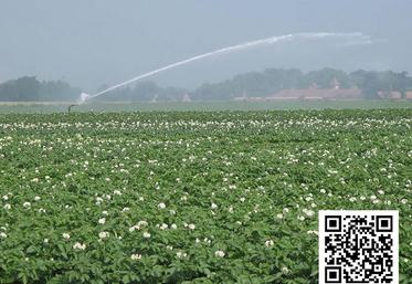 Au fil des années, de nouveaux besoins d’irrigation sont venus s’ajouter aux usages historiques, entraînant une pression plus forte sur la ressource en eau. Dans le même temps, Agro-Transfert réalise une enquête à destination  de tous les exploitants agricoles des Hauts-de-France avec ou sans irrigation, pour identifier leurs besoins en termes de conseils et d’accompagnement  (lien en scannant le QR ci-dessus).