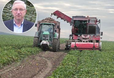 Les conditions d’arrachage, restent «moyennes», selon la CGB qui relève un taux de tare de 10 %. 