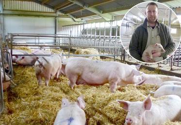 La porcherie de Christophe Menard répond aux normes de bien-être animal. Cette pratique, ainsi qu’une commercialisation locale, lui assurent un débouché, mais pas une valorisation à la hauteur des efforts. 