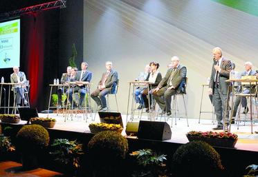 La campagne 2013-2014 a été marquée par une bonne collecte mais des prix en baisse, une bonne qualité et des records à l’export.