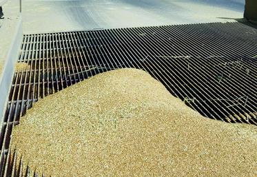 Dans près de 60% des situations testées, la qualité boulangère est bonne à très bonne.