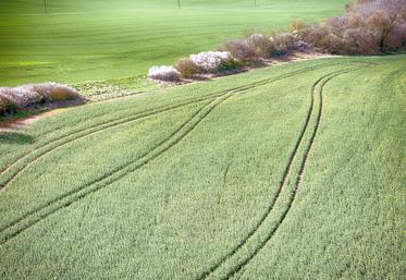 Pour plus de détails, retrouvez les informations et les documents relatifs à l’appel à projet ouvert aux agriculteurs :  https://europe-en-hautsdefrance.eu/appels-a-projets/