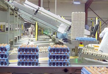 Après avoir été une success story pendant un certain nombre d’années, Cocorette traverse actuellement une crise  qui touche également d’autres acteurs au sein de la filière œufs. Noriap, son actionnaire majoritaire, déploie un plan  de retournement pour retrouver de la profitabilité. 