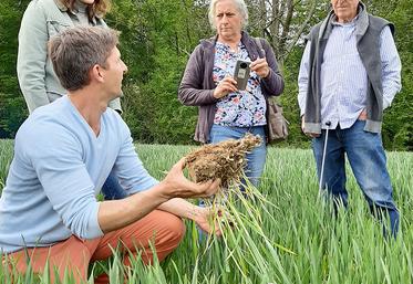 Dans les champs de Nicolas Mourier, à Ailly-sur-Noye, échange avec les experts agronomes australiens Harm Van Rees et Anne Jackman, le 28 avril. 
