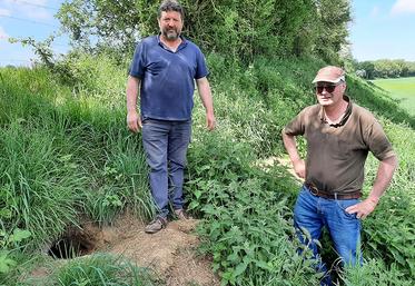 Agriculteurs dans la vallée des Évoissons, Sébastien Chabaille et Yves Poilvet  sont confrontés à des dégâts de blaireau de manière récurrente. 