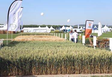Des centaines de vitrines végétales, d’experts, d’exposants font des Culturales un rendez-vous de référence pour les filières de production des grandes cultures. 