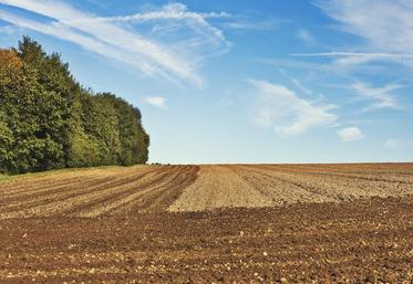 terres agricoles
