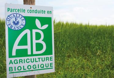 Les surfaces en production biologique sont à la hausse passant de 2,55 millions d’hectares en 2020 à presque 2,8 en 2021 soit une hausse de 9 %. 