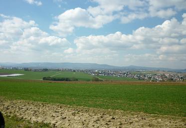 Les négociateurs du Parlement européen et de la présidence portugaise du Conseil de l’UE s’attaquent en ce moment  au plus gros morceau de la négociation de la future Pac : l’architecture verte.