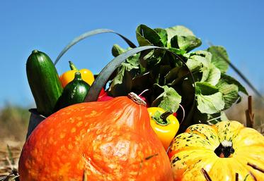 Le parcours comprend, pour un an, la livraison à chaque bénéficiaire de dix paniers de légumes, un atelier culinaire,  un accompagnement global sur les bases de l’hygiène, de la conservation et de la cuisson ainsi qu’un accompagnement autour de la transformation et la découverte culinaire. 