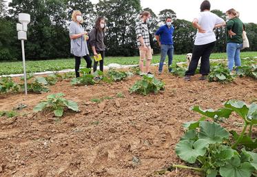 Les journées nationales de l’agriculture ont été l’occasion pour Bonduelle d’organiser des rencontres au champ entre producteurs et consommateurs, comme chez Antoine Depourcq. 