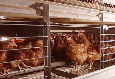 Le président de la Commission agricole du Parlement européen, Norbert Lins a estimé qu’il était nécessaire de trouver des dispositions financières afin que les agriculteurs puissent effectuer cette transition d’ici 2027. 