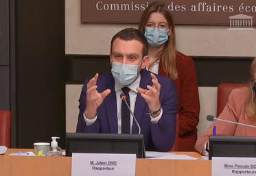 rapport parlementaire