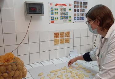 À Rosières-en-Santerre, Sana Terra dispose d’un laboratoire qui lui permet  de réaliser différents tests de qualité. Fonction des résultats, le débouché  est différent et adapté. 