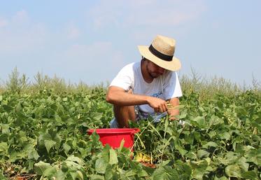 filière bio et emploi