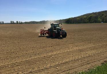 Semis par entrepreneur