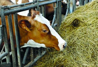 les distributeurs ont revalorisé de façon effective les produits de marque distributeurs et premiers prix au niveau de 2014, ce qui représente entre 50 et 80 million d’euros.