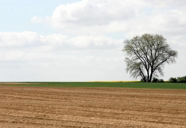 L’inscription des terres au bilan peut être un avantage non négligeable en termes de déduction de charges, mais chaque situation est à analyser avant d’exercer l’option.