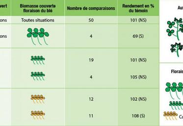 Rendement exprimé en pourcentage de celui obtenu pour le témoin (blé sans couvert permanent), à dose d’azote apporté identique. Synthèse d’essais de 2009 à 2017.