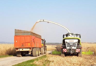 Philippe Colin estime connaître une perte de 25 % de rendement par rapport à l’année dernière, mais il relativise : «Ce que nous n’avons pas pu récolter cette année, nous le retrouverons en partie l’année prochaine».