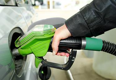 Méthanisation, carburants verts mais aussi coproduits animaux (entre autres) figurent dans les orientations de la future stratégie «produits biosourcés» et «carburants durables» en préparation du côté de Bercy.