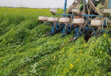 170 exploitations agricoles couvrant environ 30 000 hectares ont obtenu le label d’agriculture de conservation «Au cœur des sols».