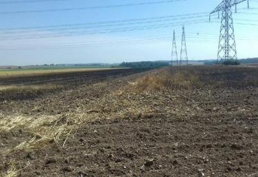 Comme cette parcelle d'Argœuvres, des dizaines d'hectares ont pris feu lors de la moisson ces dix derniers jours.