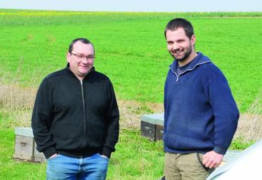 Patrice Payen, agriculteur à Fléchy (60) et Benoît Minart dans un petit rucher installé près d’une parcelle de colza en début de floraison. 
Patrice a remarqué une augmentation moyenne du rendement du colza de 6 à 7 quintaux/ha depuis la présence de ruches, simplement grâce à une meilleure pollinisation des plantes.