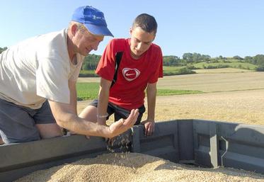 81 jeunes ont été installés dans la Somme en 2017, dont 38 % avec des aides.