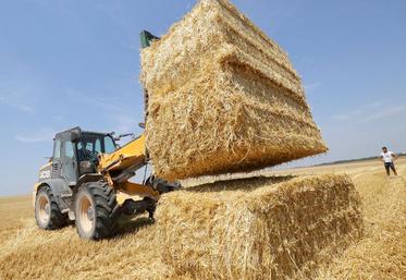 Les prix de la paille ou du foin «ont explosé» : le foin vaut environ 150 €/t, au lieu de 100 e/t l’an passé.