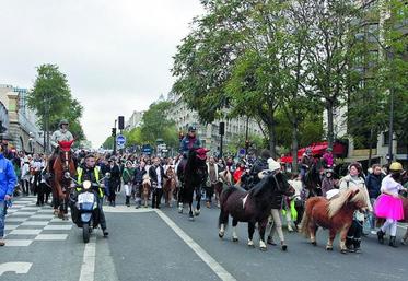 Les amateurs de chevaux et les professionnels des centres équestres ont réussi leur mobilisation contre la hausse de TVA.
