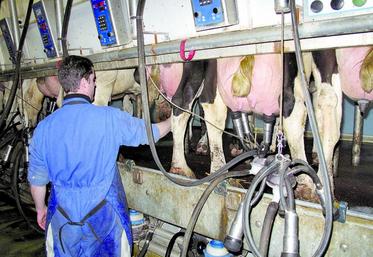 Les salles de traite, comme la manipulation ds animaux, leur chargement ou leur alimentation sont à l’oriigine des accidents.