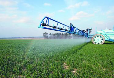 La nouvelle version du plan Ecophyto réajuste le calendrier sans changer les seuils à atteindre : réduction de 25 % des phytosanitaires d’ici 2020, et de 50 % d’ici 2025.