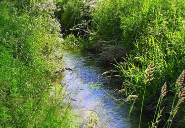 La profession agricole estime que certaines des dispositions du Sdage ne tiennent pas assez compte de l’évolution et  des pratiques de l'agriculture.