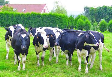 Les indicateurs économiques étudiés révèlent un même constat : tous les éleveurs sont en grande difficulté.