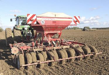 S’il n’est pas trop tard pour des semis de blé, des recommandations sont à respecter pour ne pas compromettre le futur rendement.